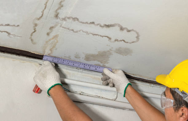 Reliable Water Damage Repair contractor in Blount, WV by Hirex Water Damage